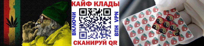 Купить закладку Канабис  APVP  ГАШИШ  Галлюциногенные грибы  Меф  Нерчинск