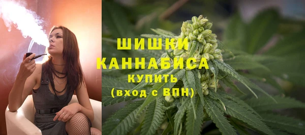 ALPHA PVP Каменка