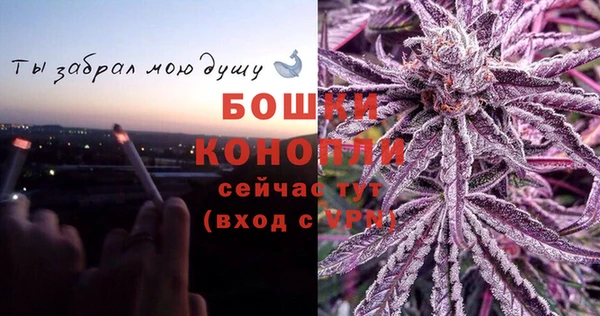 ALPHA PVP Каменка