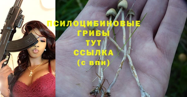 СК Карталы