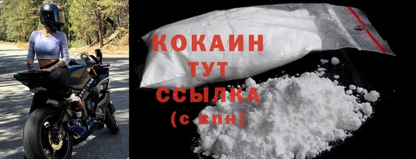 прущие грибы Карпинск